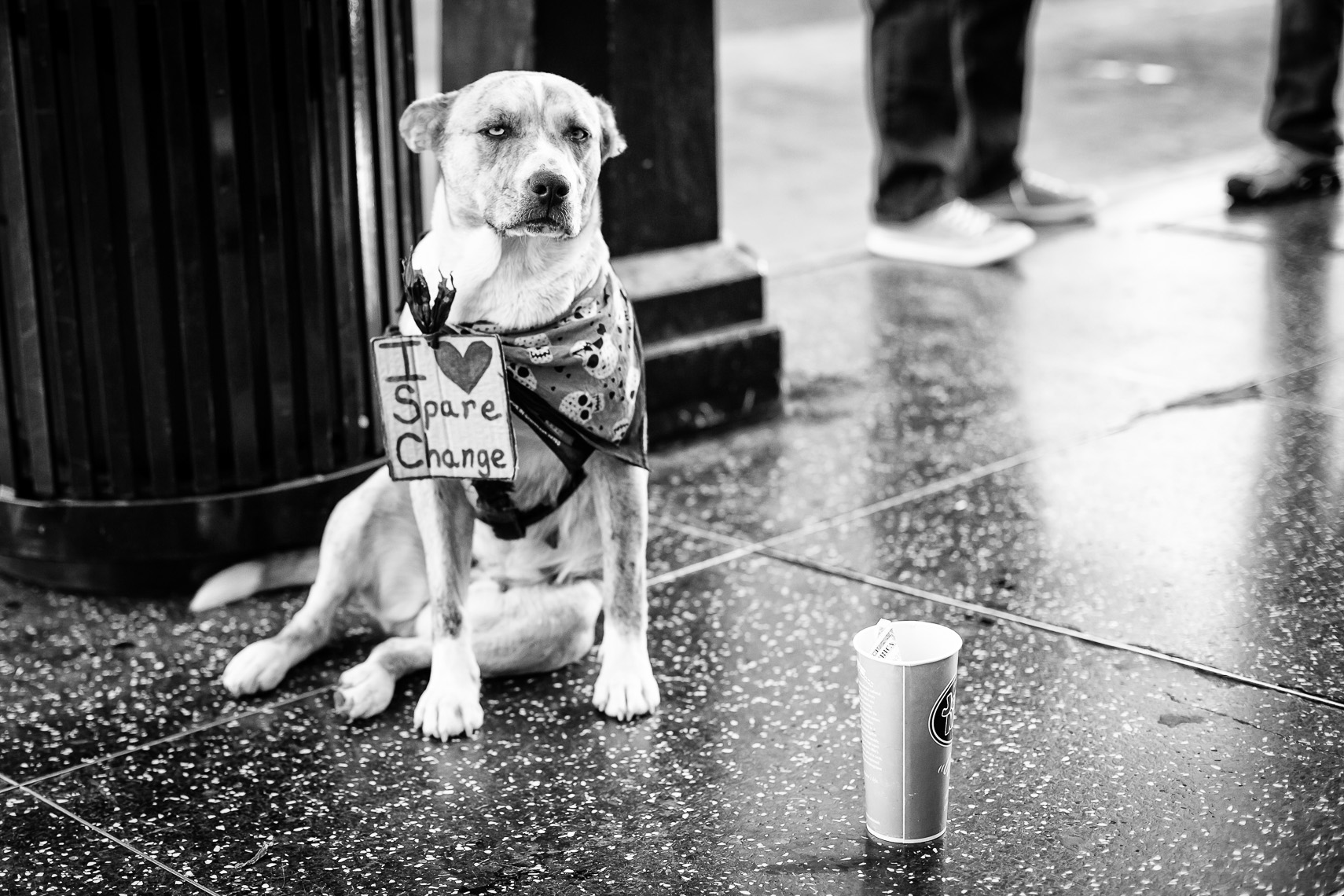 Drongo-Photo-LA-Street-Photographer-Jeff-Drongowski-05.jpg